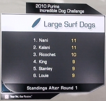 surf dog televised Purina