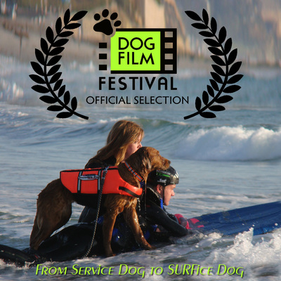 Ricochet in dog film festival