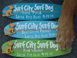 surf city surf dog awards