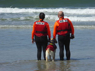 water rescue dog 9