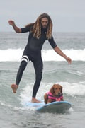 Surfing dog Rob Machado