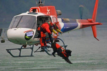 dog jumps out of helicopter
