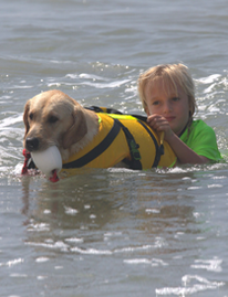 water rescue dog 3
