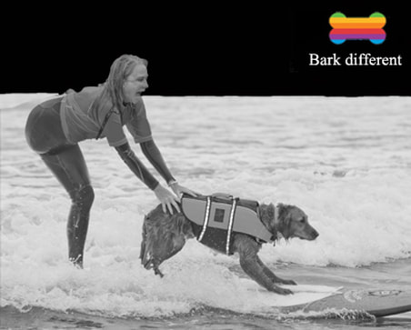 surf dog be true to yourself