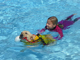Dog swimming with child