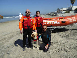 water rescue dog 8