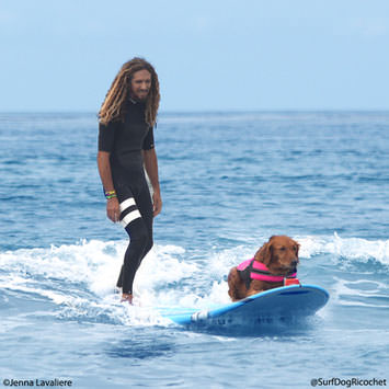 Surf Dogs and Rob Machado