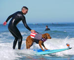 Surf dog veterans with PTSD