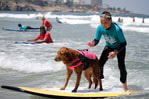 surfing dog autism
