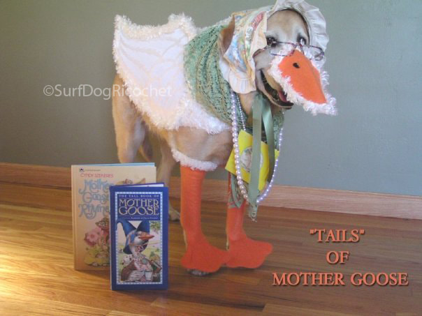 Dog costume mother goose