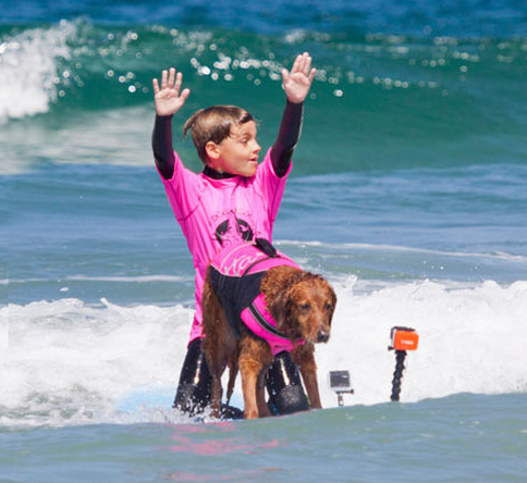 Surfing dogs and autism