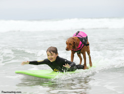 surf dog autism