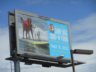 Surf Dog Ricochet on billboard