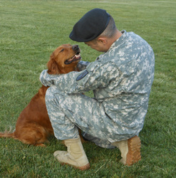 Veteran and dog