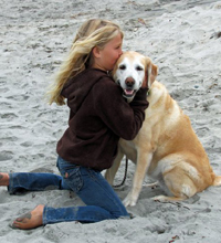 therapy dog hug