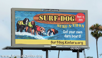 so cal surf dogs on billboard