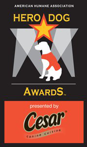 surf dog gets hero dog award