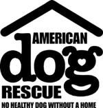 american dog rescue