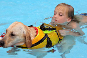 Dog swimming with child