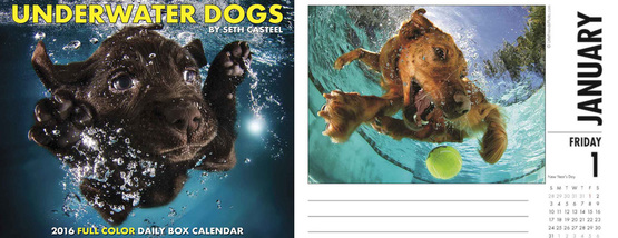 Underwater Dogs calendar