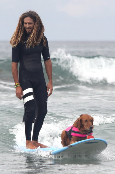 Surf dogs Rob Machado