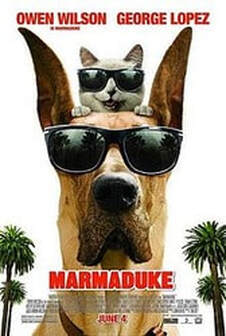 Surf dog Marmaduke