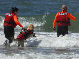 Water rescue
