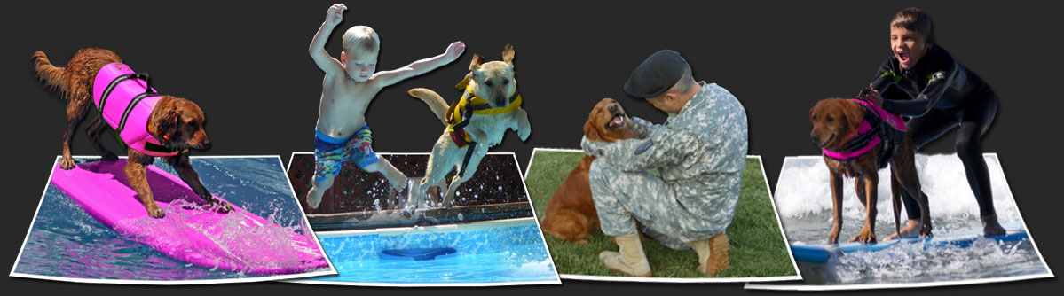 Surf Dog Ricochet - Surfing dogs, therapy dogs, dog surfing competition