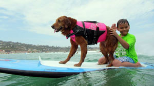 Surf dog & autism