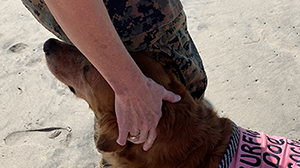 PTSD dog and marine