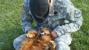 Therapy dog and soldier