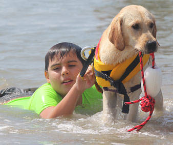 water rescue dogs